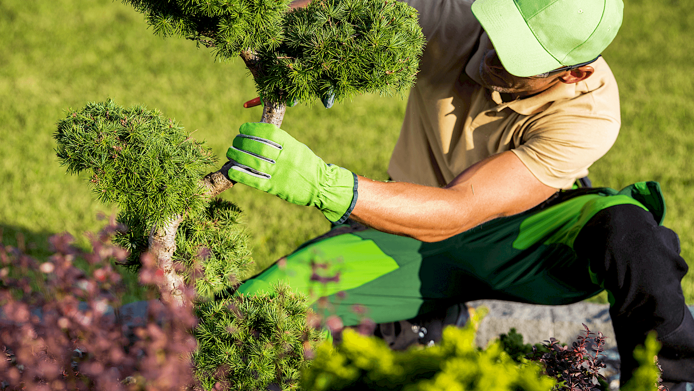 Gardener near me - Request A Quote