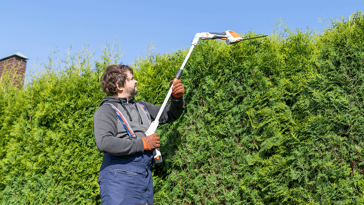 Hedge cutting service by professional gardener - request a quote
