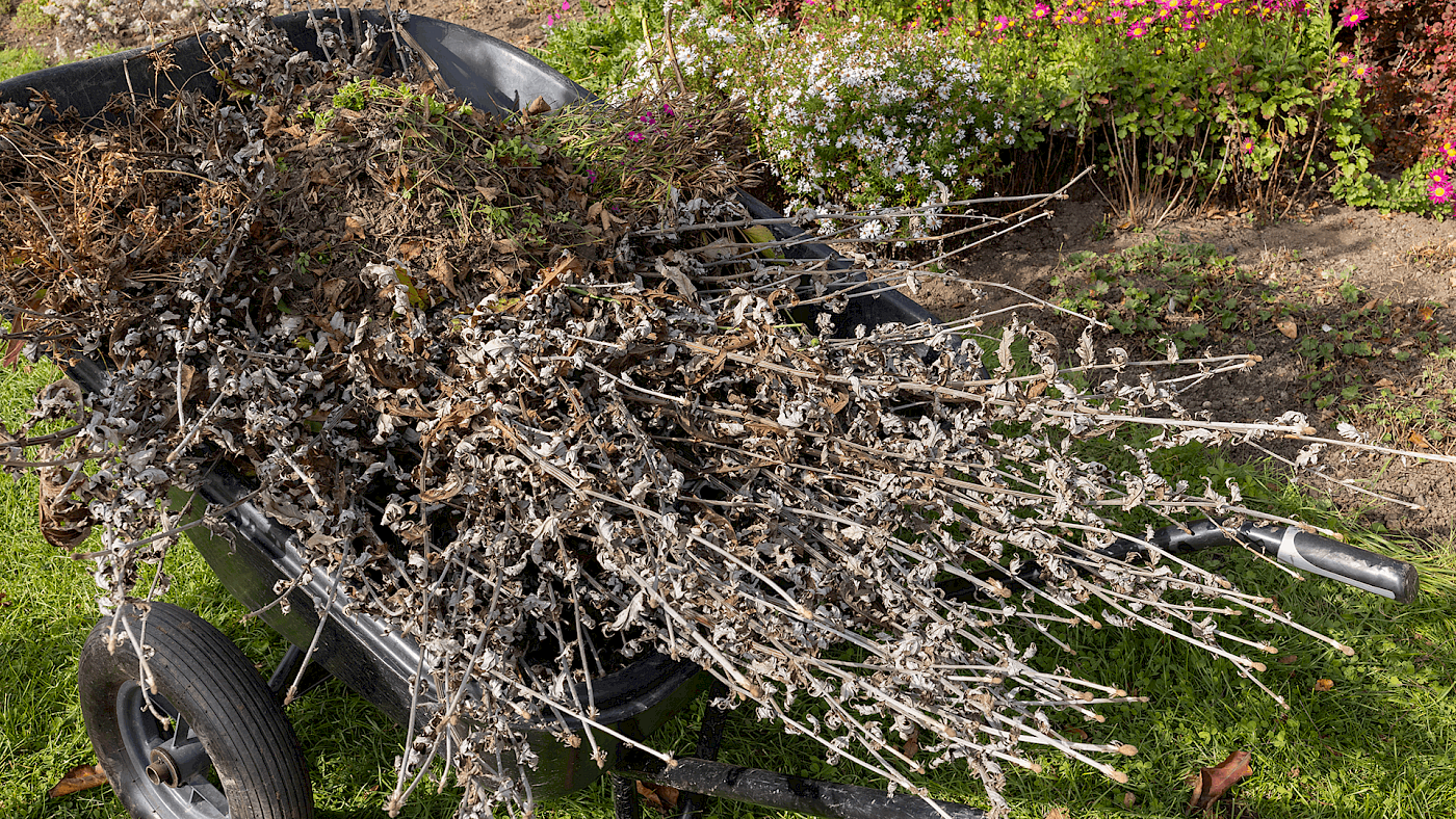 Garden tidy up and debris removal service - request a quote